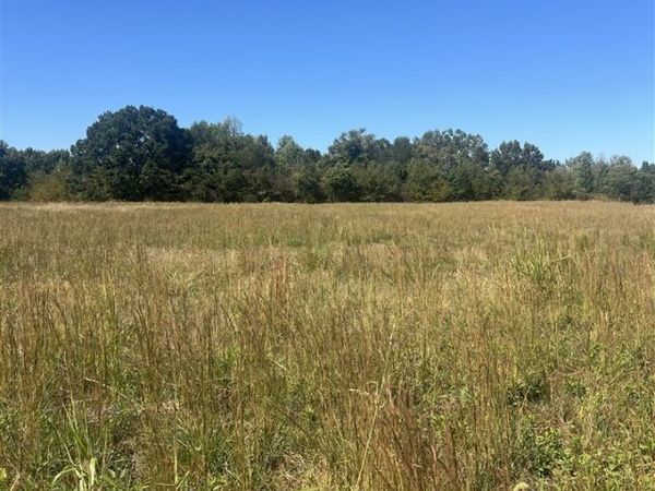 Lot 15 Hunt Lane , Adolphus, KY 42120