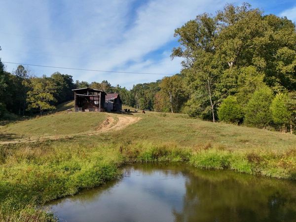 0 Salling Monument Lane, Fort Blackmore, VA 24250