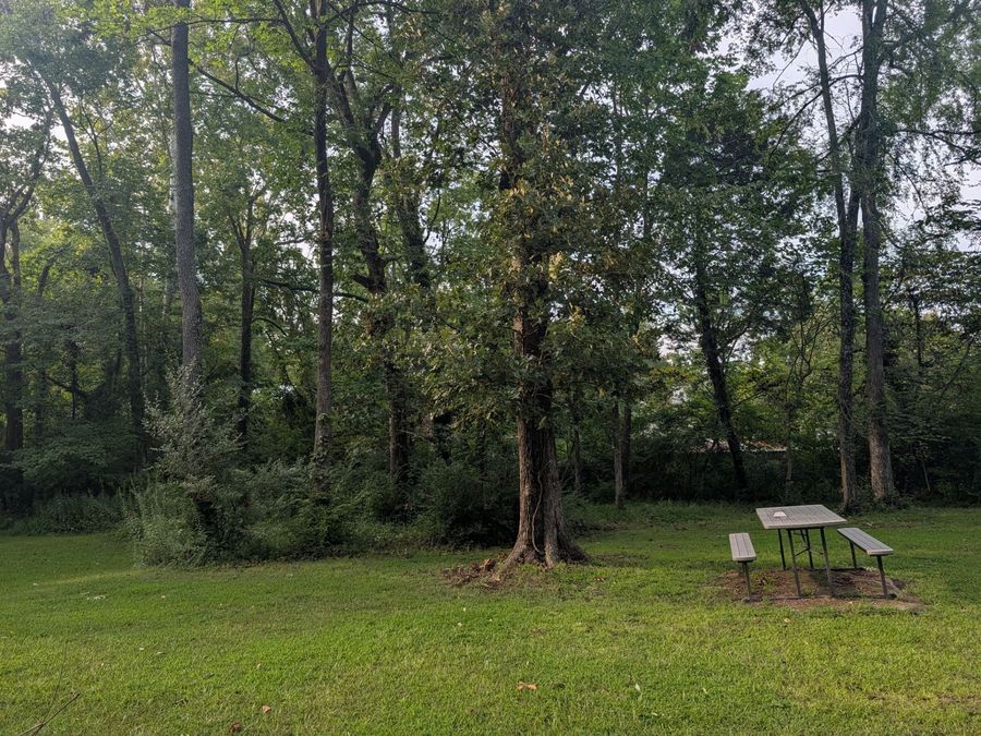 Property Image 56