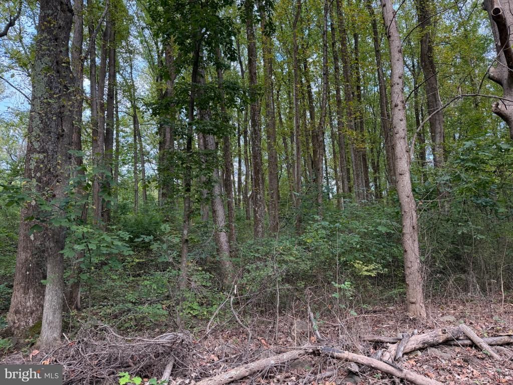 Smith Run, Bentonville, VA 22610 Main Photo