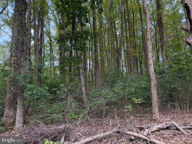 SMITH RUN, BENTONVILLE, VA 22610
