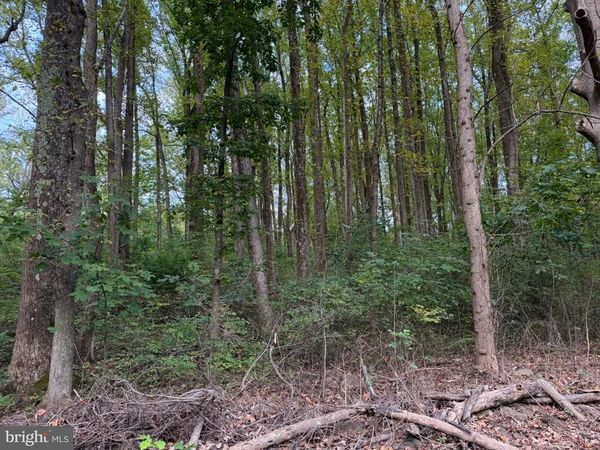 SMITH RUN, BENTONVILLE, VA 22610