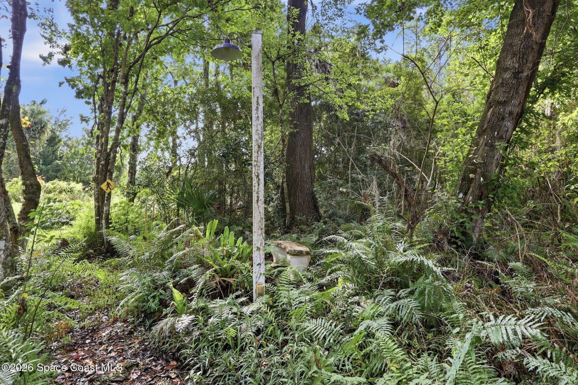 3869 Rambling Acres Drive , Titusville, FL 32796 Photo