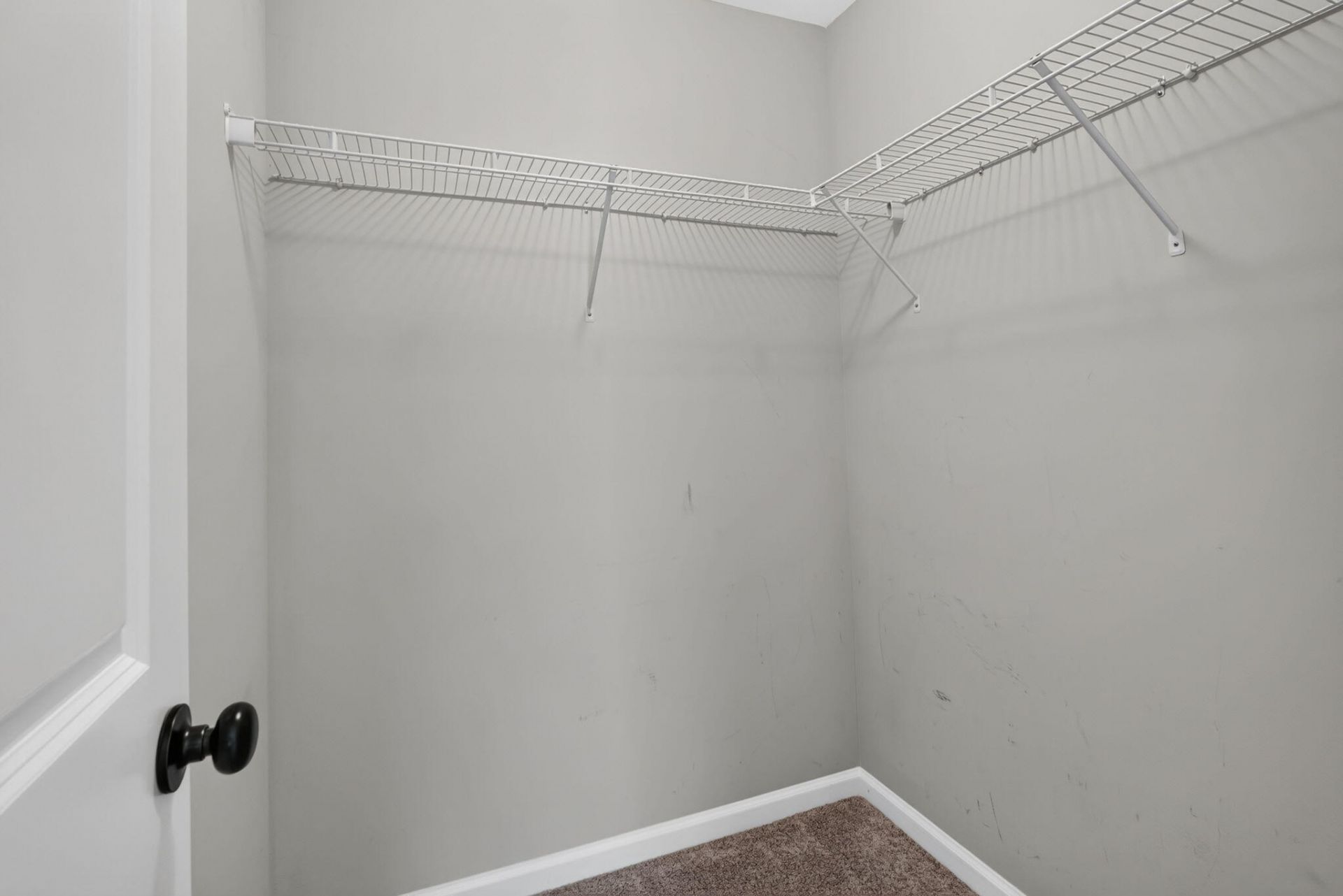 517 Grey Owl Way Photo 34