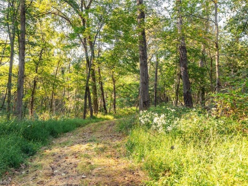 10772 Lawndell Road SW, Navarre, OH 44608 Photo 18