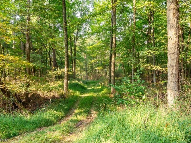 10772 Lawndell Road SW, Navarre, OH 44608 Photo 19