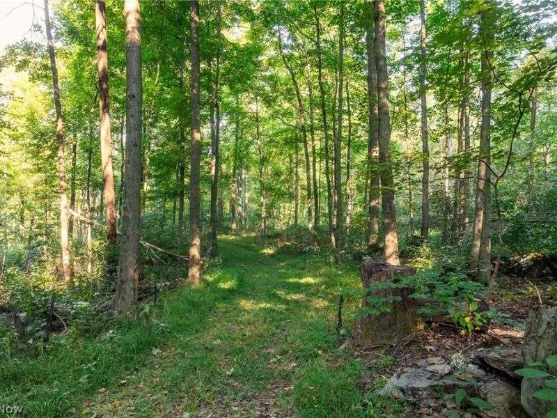 10772 Lawndell Road SW, Navarre, OH 44608 Photo 21