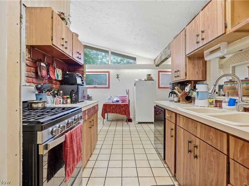 110 E 252nd Street, Euclid, OH 44132 Photo 19