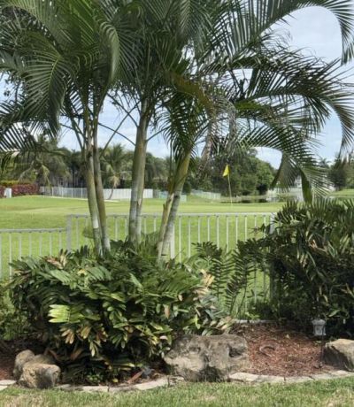 8047 N Savannah Circle, Davie, FL 33328 Photo