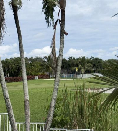 8047 N Savannah Circle, Davie, FL 33328 Photo