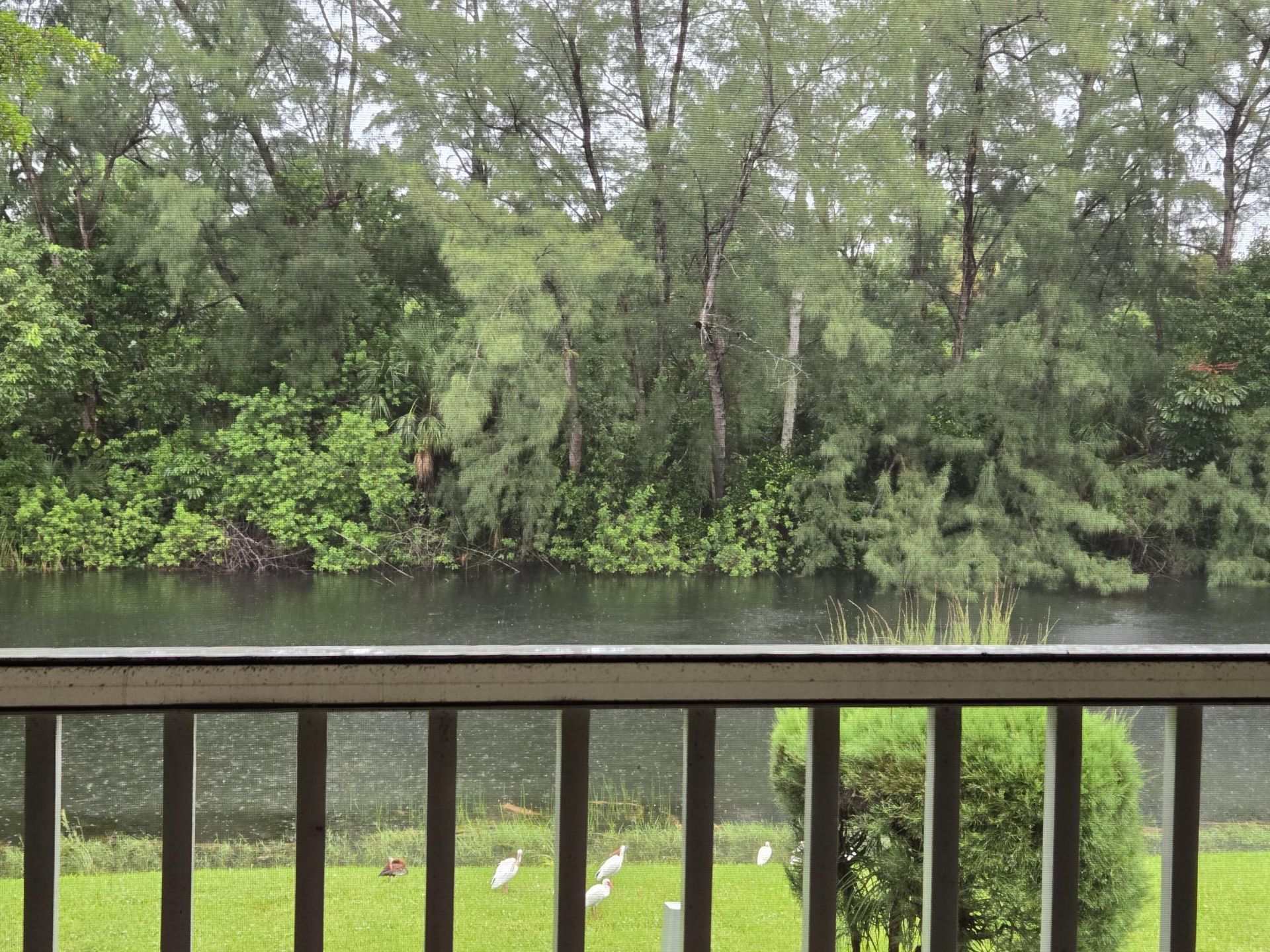 130 Lake Meryl Drive, West Palm Beach, FL 33411 Photo
