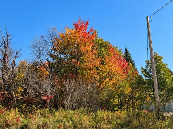 V/L .69AC E West Branch Road, St. Helen, MI 48656