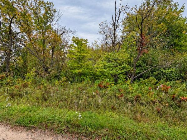 V/L .69AC E West Branch Road, St. Helen, MI 48656