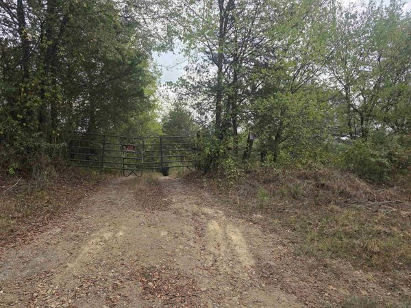 126 Hockersmith Lane, Gillham, AR 71841