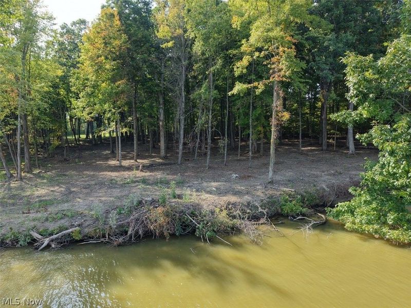 Mahoning Road, Lake Milton, OH 44429 Photo 8