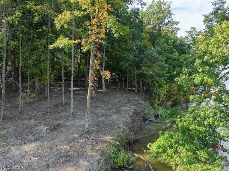 Mahoning Road, Lake Milton, OH 44429 Photo 9