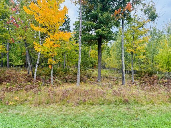 L1 B4 Drahos Road , Brainerd, MN 56401