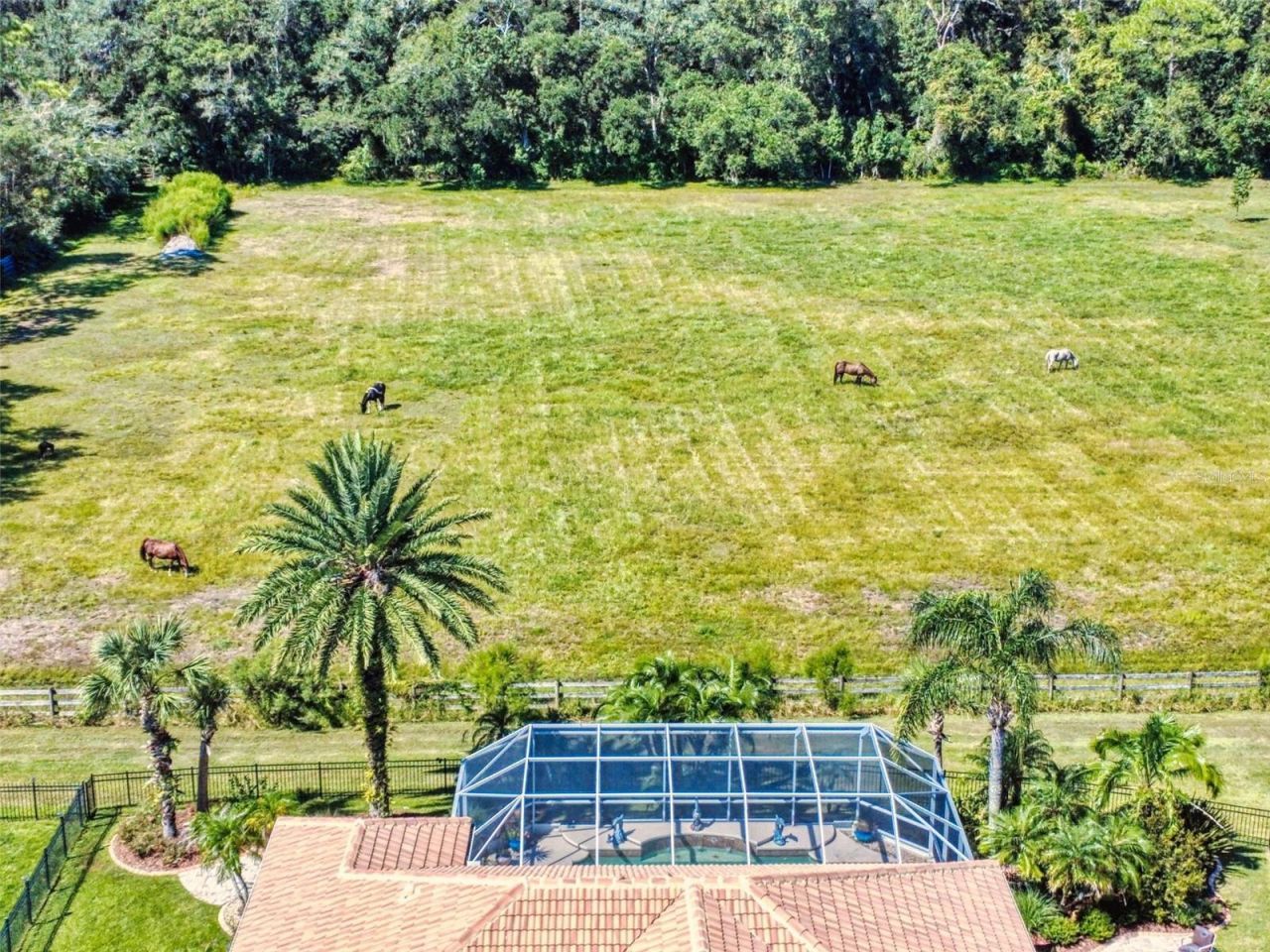 3604 Maribella Drive, New Smyrna Beach, FL 32168 Photo