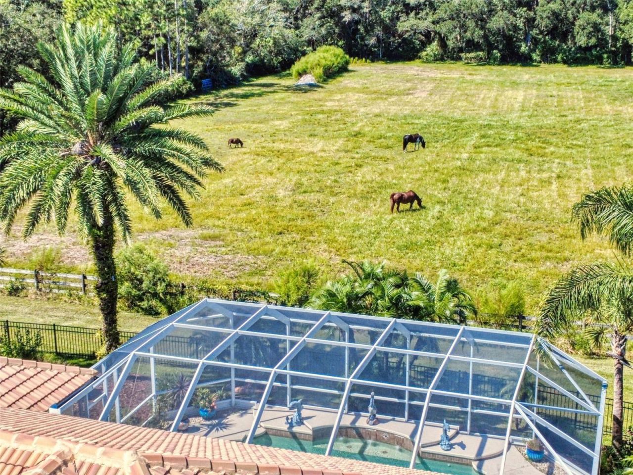 3604 Maribella Drive, New Smyrna Beach, FL 32168 Photo