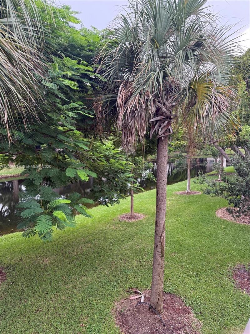 9938 Nob Hill Pl , Unit 1838, Sunrise, FL 33351 Photo