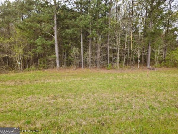 0 TRACT 4A Us Highway 341 N, Musella, GA 31066