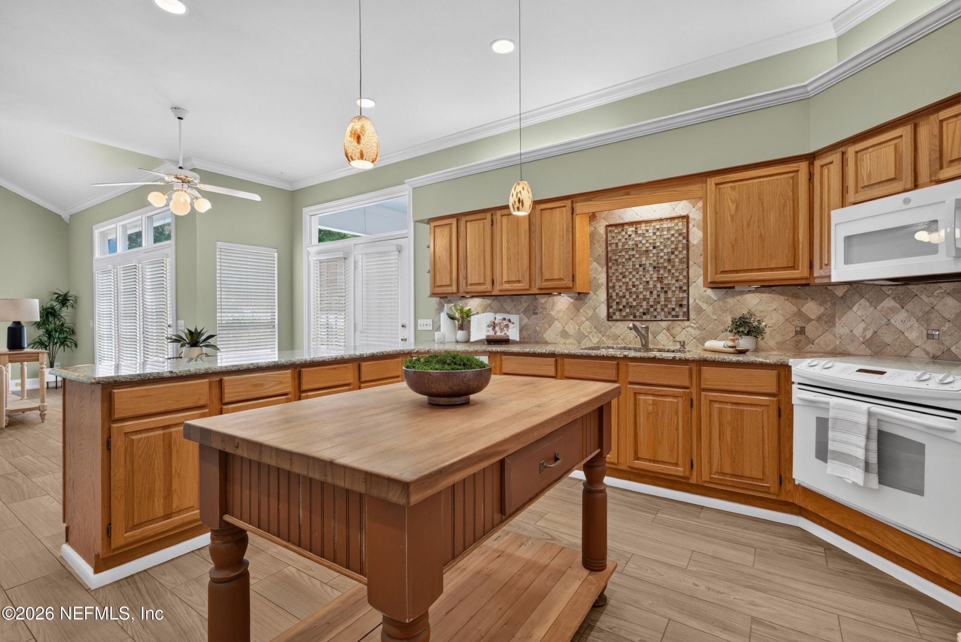 591 Thornwood Lane, Orange Park, FL 32073 Photo