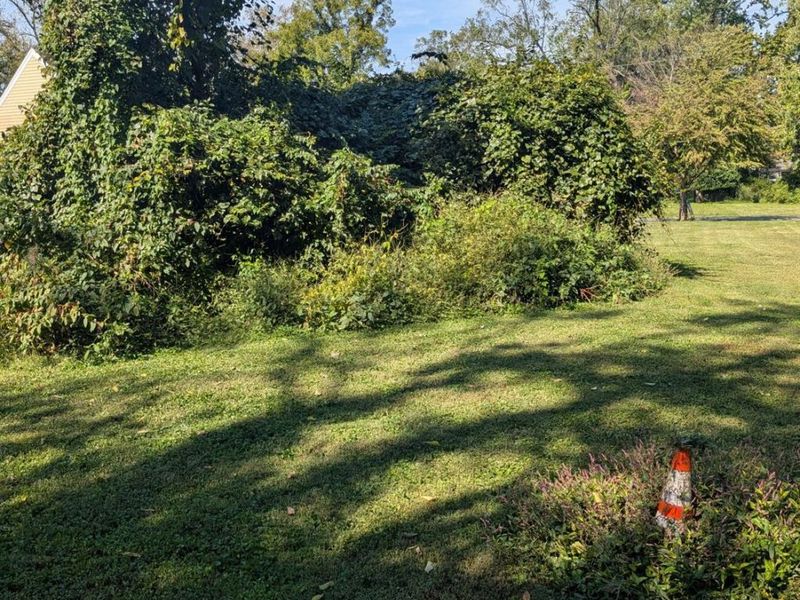 214 Worth Street, Cincinnati, OH 45226 Photo 7