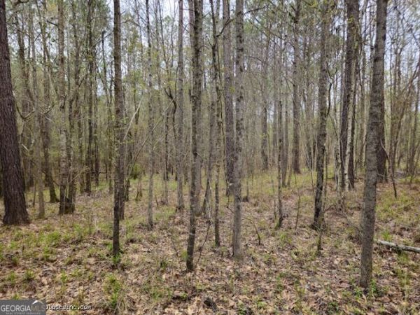 0 TRACT 3C Us Highway 341 N, Musella, GA 31066