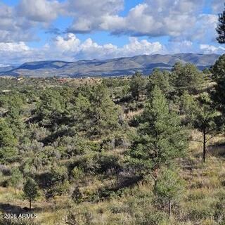 003 Blue Sky, Peeples Valley, AZ 86332