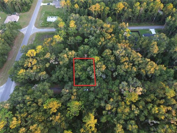 TBD SEQUOIA LOOP TRACK , OCKLAWAHA, FL 32179