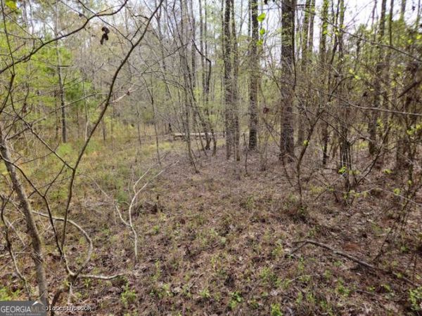 0 TRACT 1D Us Highway 341 N, Musella, GA 31066