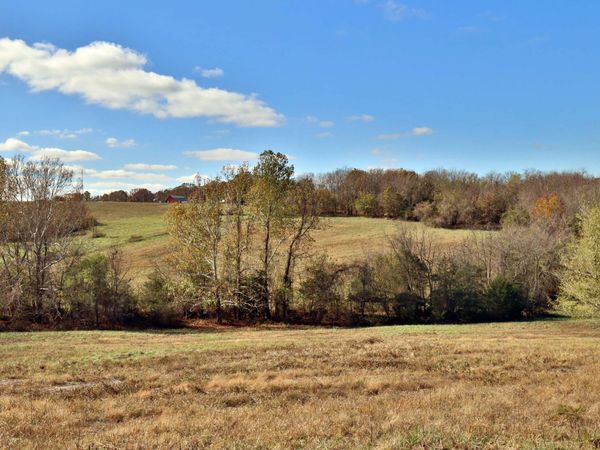 000 W State Highway U , Walnut Grove, MO 65770