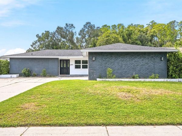 4206 WINDTREE DRIVE , TAMPA, FL 33624