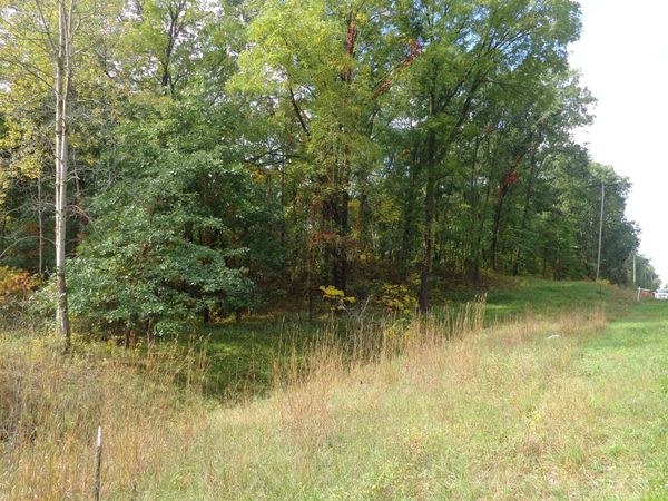 Parcel B 109th Avenue, Pullman, MI 49450