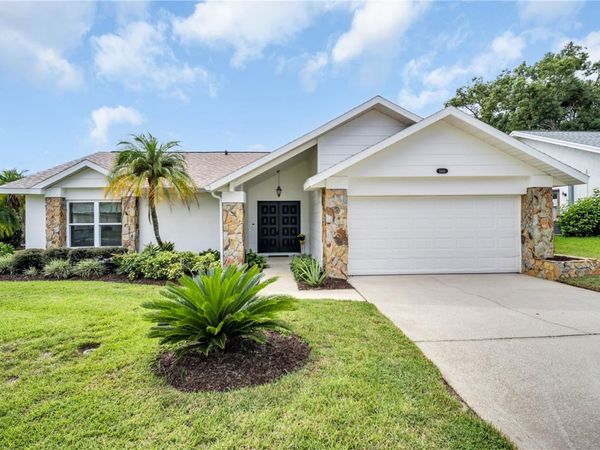 3444 CARMICHAEL STREET , PALM HARBOR, FL 34684