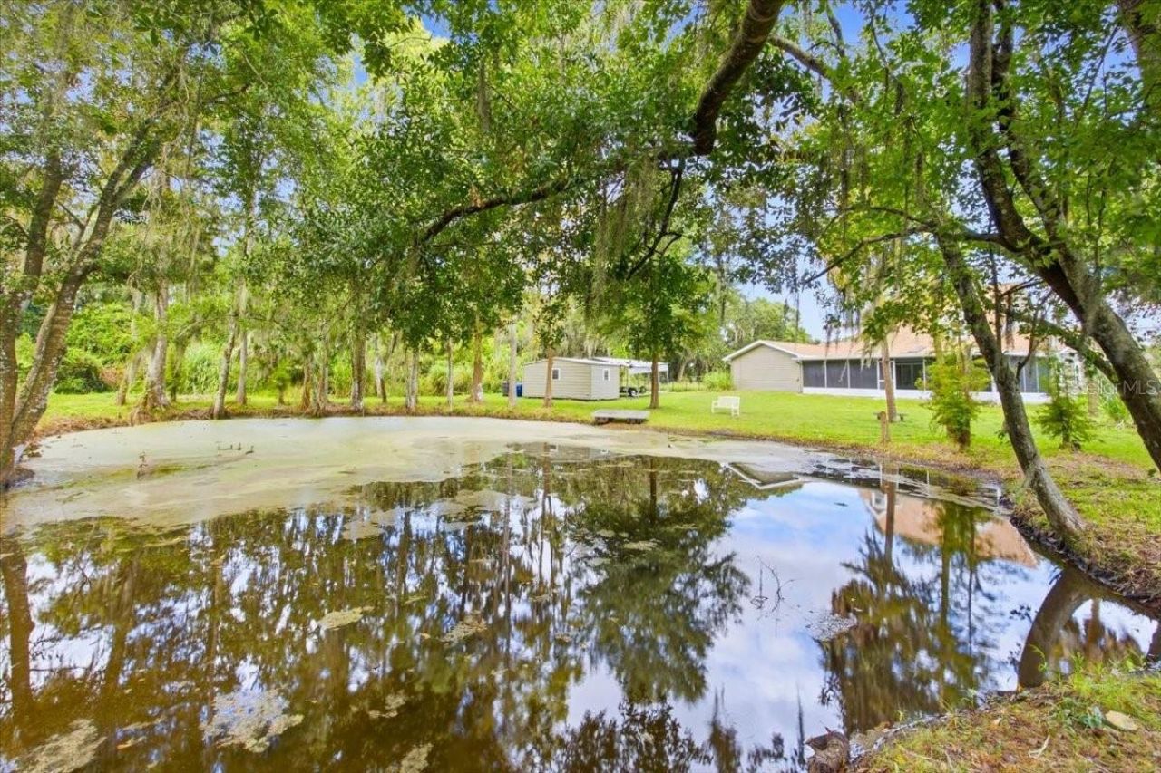 3717 Futch Loop, Plant City, FL 33566 Photo