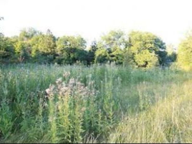 4161 Mallard Bay, Medina, OH 44256 Photo 7