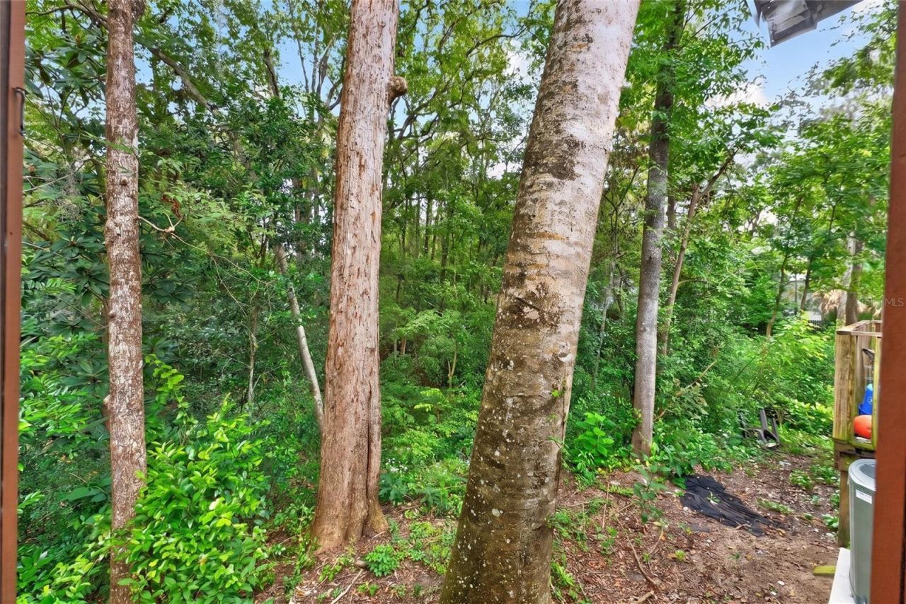 5606 SW 8th Place , Gainesville, FL 32607 Photo