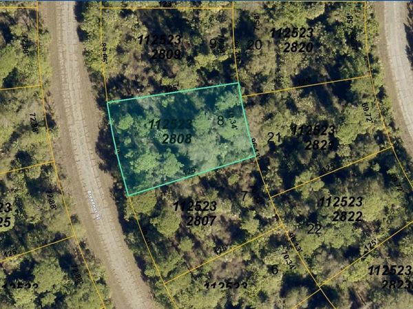 1125232808 BREADNUT STREET , NORTH PORT, FL 34288