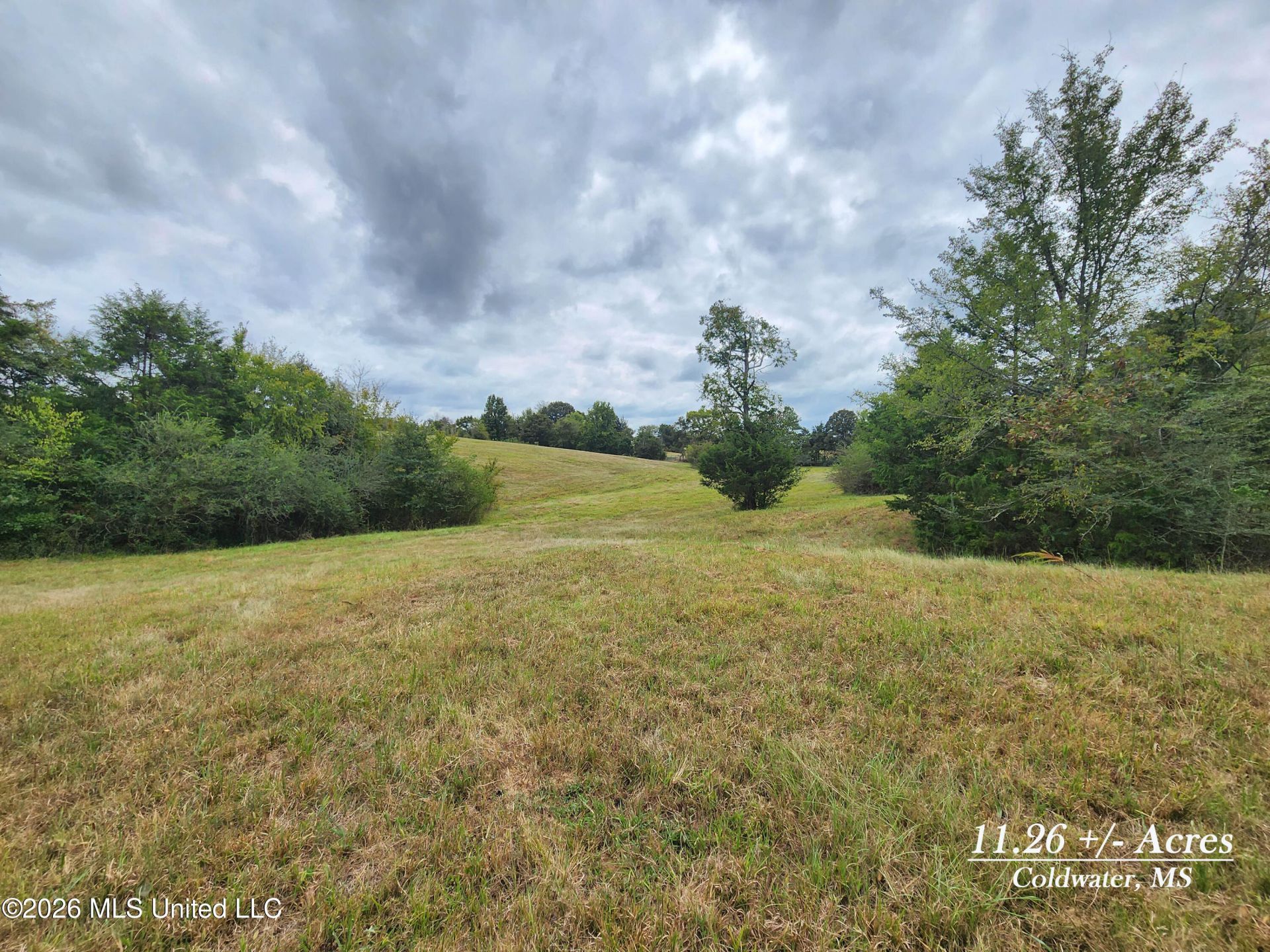 11.26 Bub Jamison Road, Coldwater, MS 38618 Main Photo