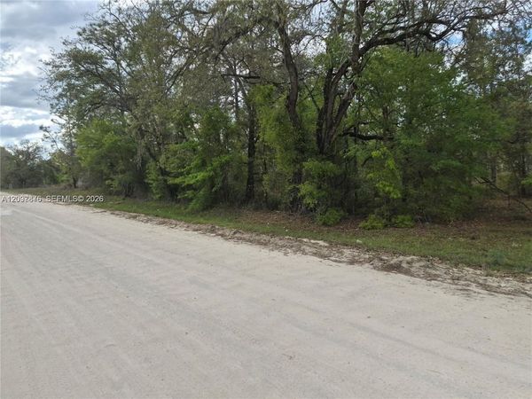 00 NE NE 4th St, Williston, FL 32696