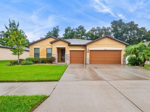 2236 LANDSIDE DRIVE , VALRICO, FL 33594