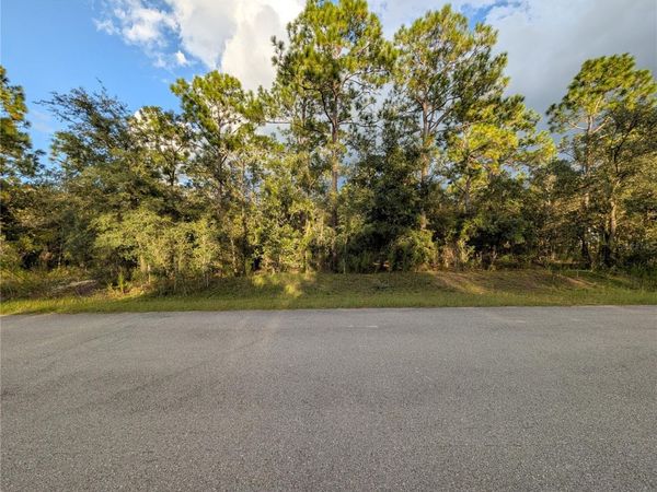 NW BUENA VISTA ROAD , DUNNELLON, FL 34431