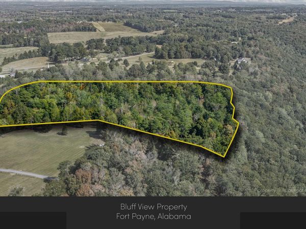 211 Bluff View Drive, Fort Payne, AL 35968