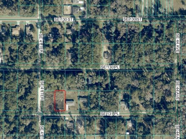 4203 SE 131ST PLACE , BELLEVIEW, FL 34420