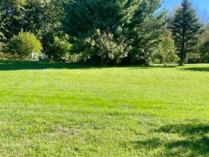 4253 County Road 24, Mount Gilead, OH 43338 Photo 39