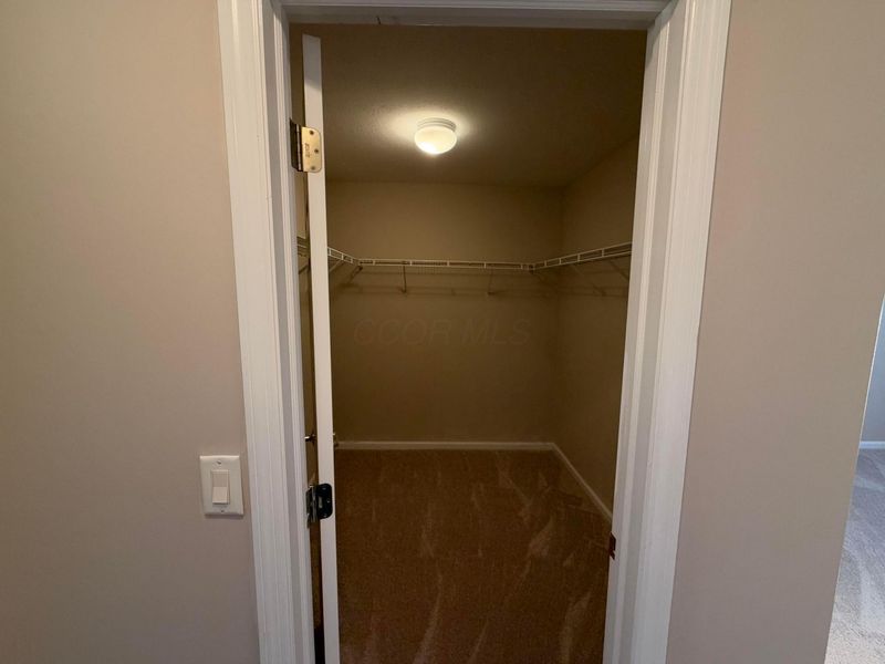 4934 Albany Meadow, Westerville, OH 43081 Photo 28