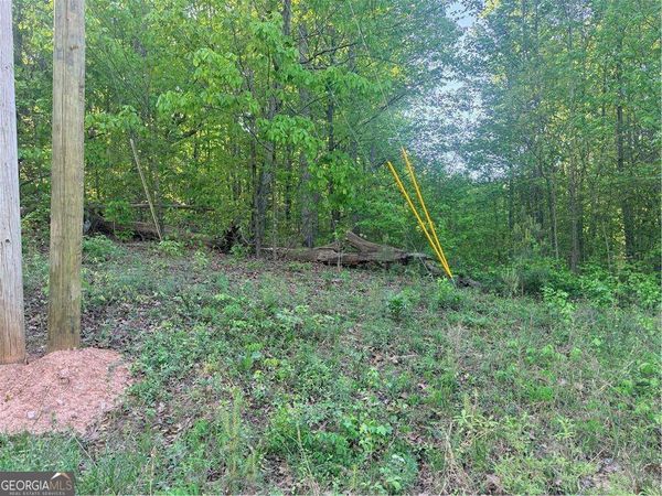 0000 Mountain View Circle, Bremen, GA 30110