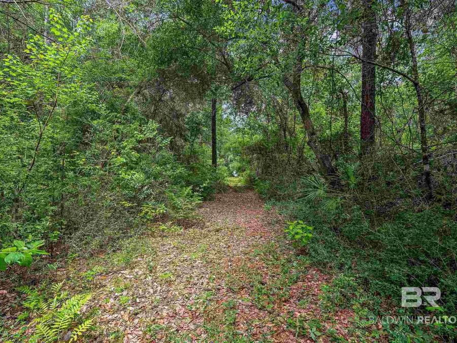 Property Image 34