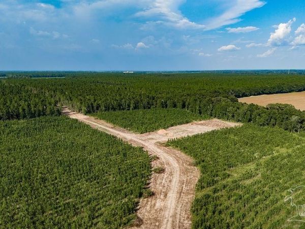 LOT 107 Posie Forest Rd, Milton, FL 32570
